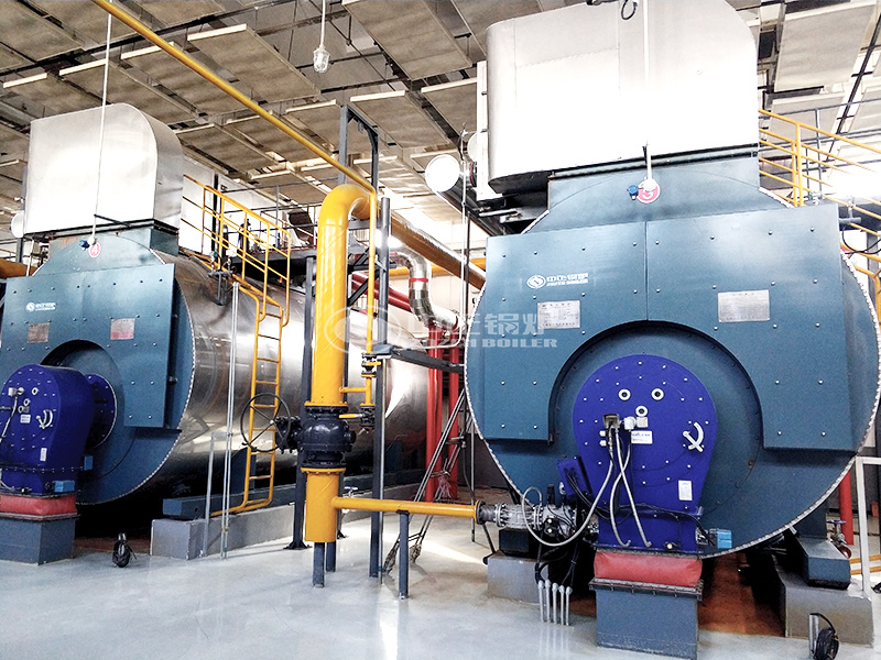 山西汇源果汁10吨WNS系列冷凝式燃气环保节能锅炉项目